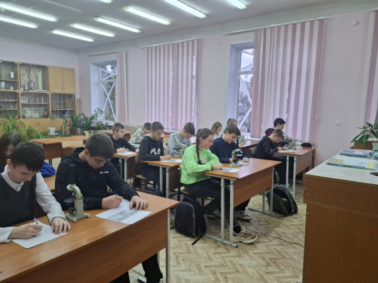 Шоу профессий.